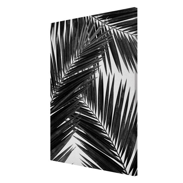 Magnettafel - Blick durch Palmenblätter schwarz weiß - Hochformat 2:3