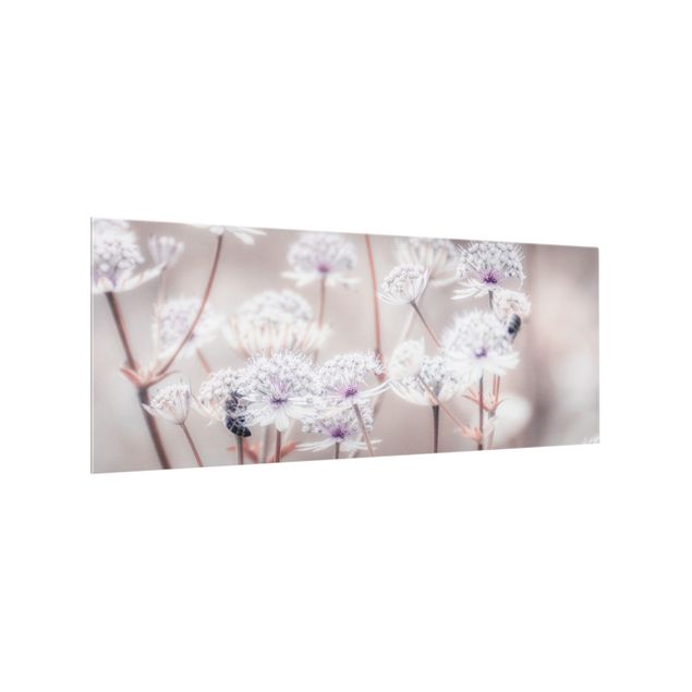 Spritzschutz Glas - Federleichte Wildblumen - Panorama 5:2