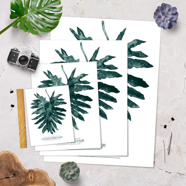 Poster - Smaragdgrüner Philodendron Bipinnatifidum - Hochformat 3:4
