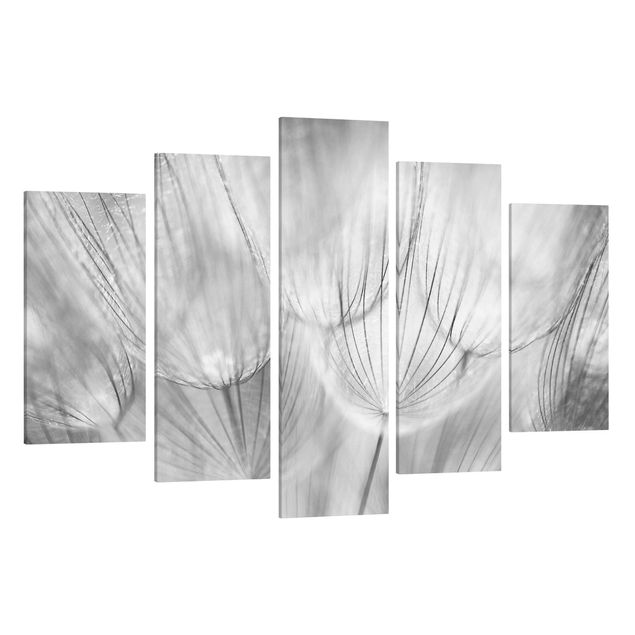 Leinwandbilder Pusteblumen Makroaufnahme in schwarz weiß