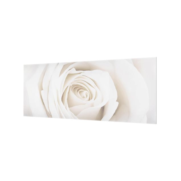 Spritzschutz Glas - Pretty White Rose - Panorama - 5:2