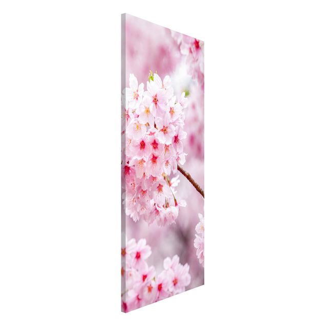 Magnettafel - Japanische Kirschblüten - Panorama Hochformat
