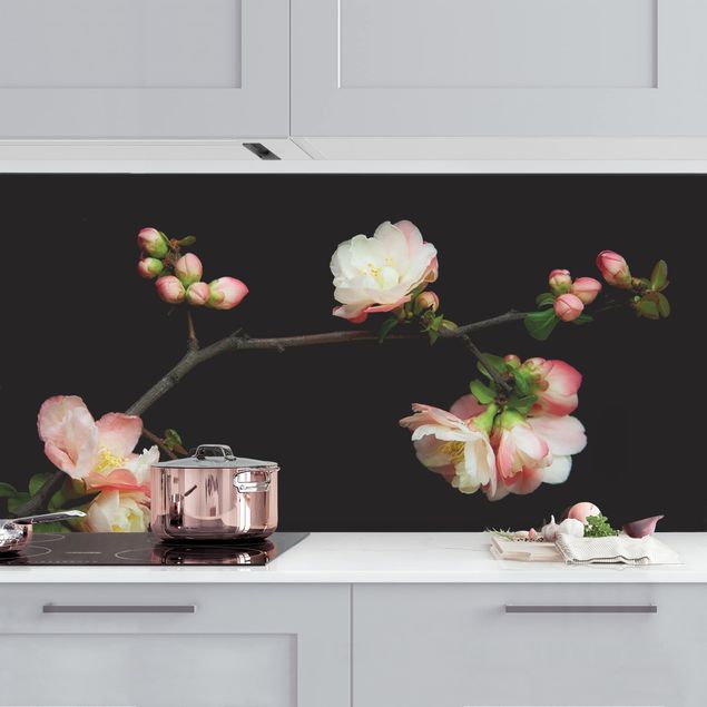 Platte Küchenrückwand Blütenzweig Apfelbaum
