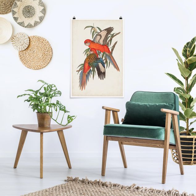 Poster mit Blumen Tropische Papageien I