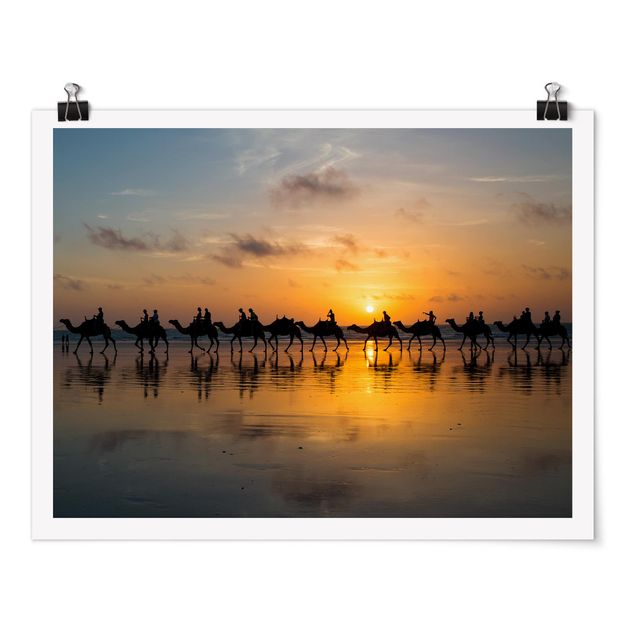 schöne Bilder Kamele im Sonnenuntergang