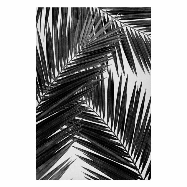 Magnettafel - Blick durch Palmenblätter schwarz weiß - Hochformat 2:3