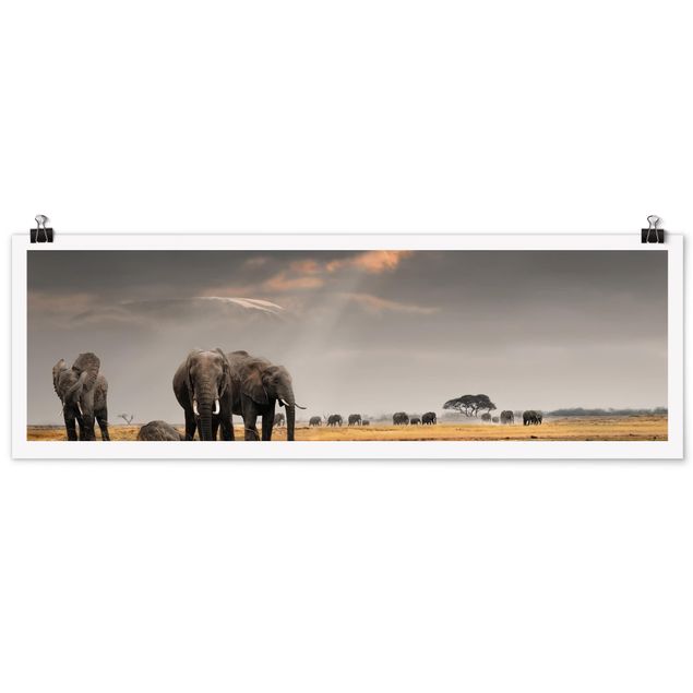 Poster - Elefanten der Savanne - Panorama Querformat