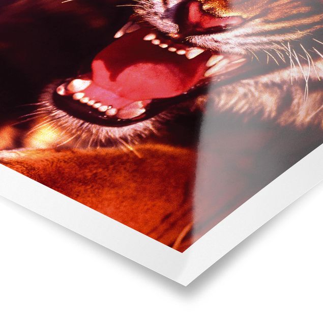 Poster - Wilder Tiger - Hochformat 3:4