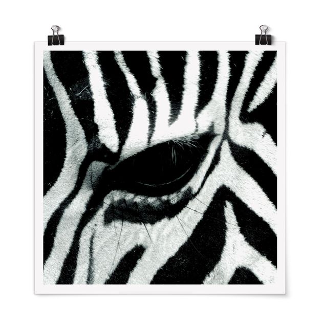 Poster - Zebra Crossing - Quadrat 1:1