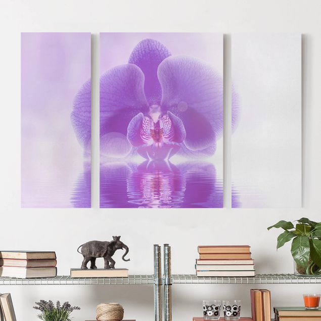 Leinwandbild 3-teilig - Lila Orchidee auf Wasser - Triptychon