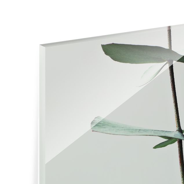 Spritzschutz Glas - Symmetrischer Eukalyptuszweig - Quadrat 1:1
