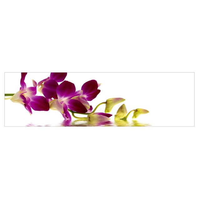 Motiv Küchenrückwand Pink Orchid Waters