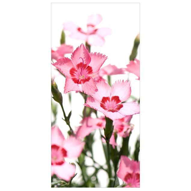 Raumteiler - Pink Flowers 250x120cm