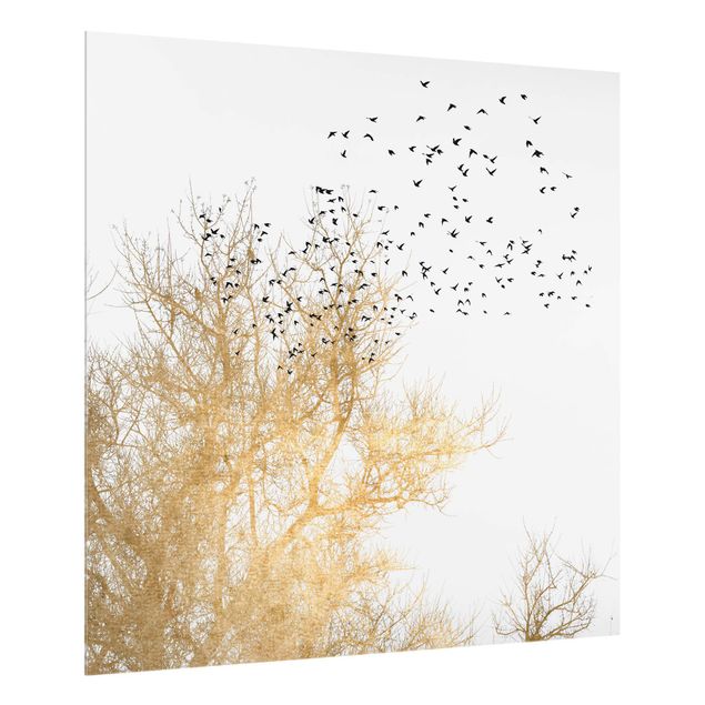 Spritzschutz Natur Vogelschwarm vor goldenem Baum