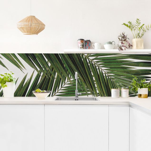 Küchenrückwand selbstklebend Blick durch grüne Palmenblätter
