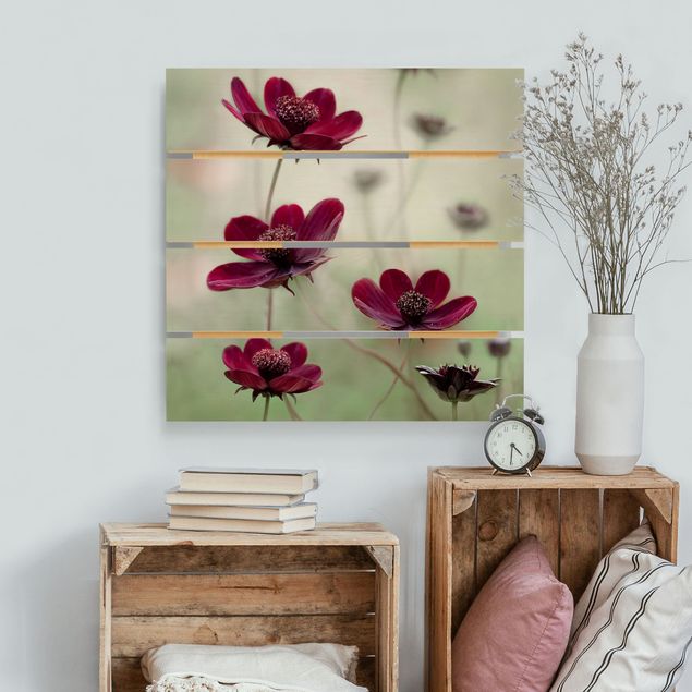 Holzbilder Blumen Pinke Kosmeen