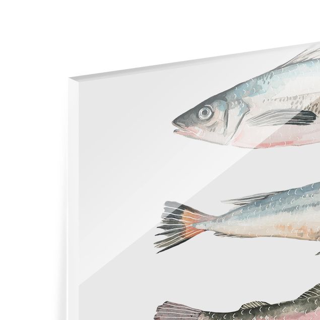 Glas Spritzschutz - Sieben Fische in Aquarell I - Quadrat - 1:1