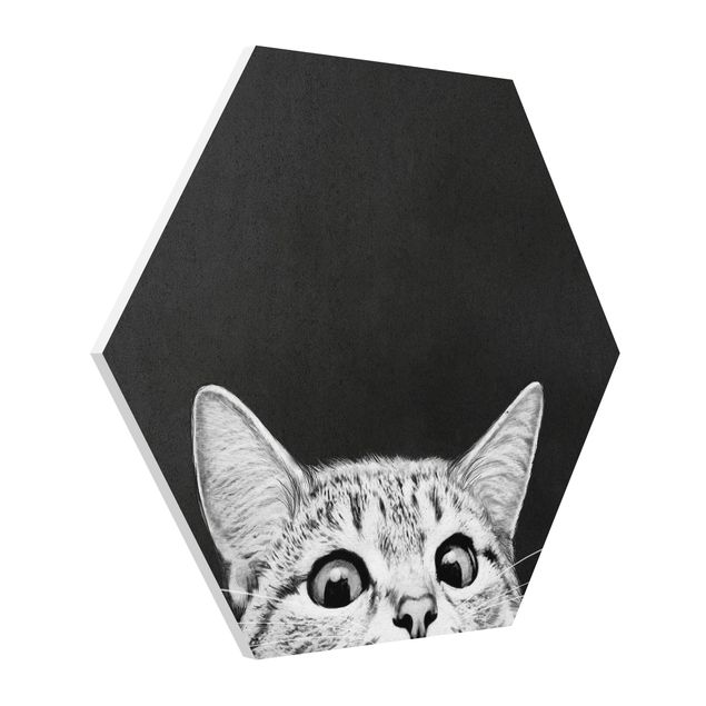 Hexagon Bild Forex - Illustration Katze Schwarz Weiß Zeichnung