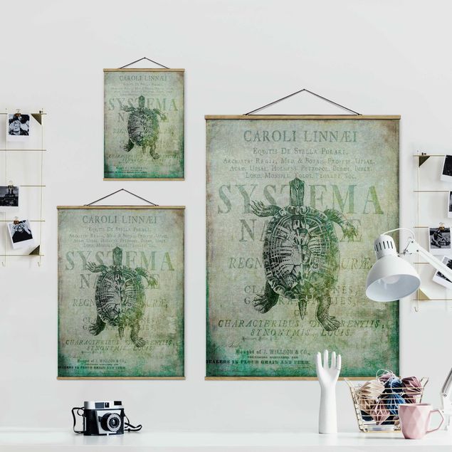 Stoffbild mit Posterleisten - Vintage Collage - Antike Schildkröte - Hochformat 3:4