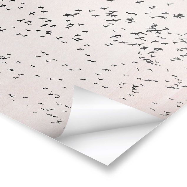 Poster - Vogelschwarm im Sonnenuntergang - Quadrat 1:1