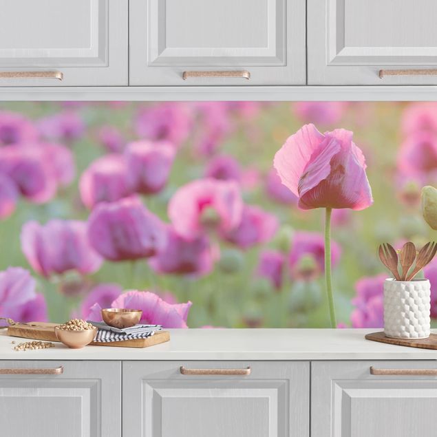 Platte Küchenrückwand Violette Schlafmohn Blumenwiese im Frühling