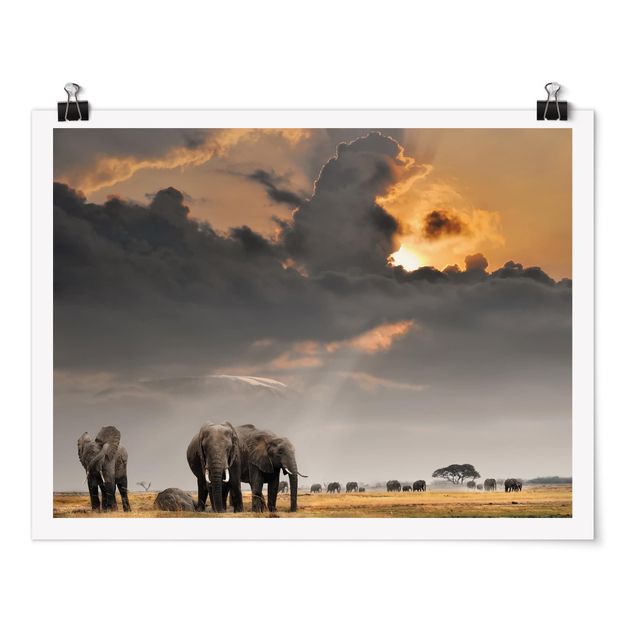 Poster Tiere Elefanten der Savanne