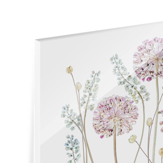 Spritzschutz Glas - Allium Illustration - Panorama - 5:2