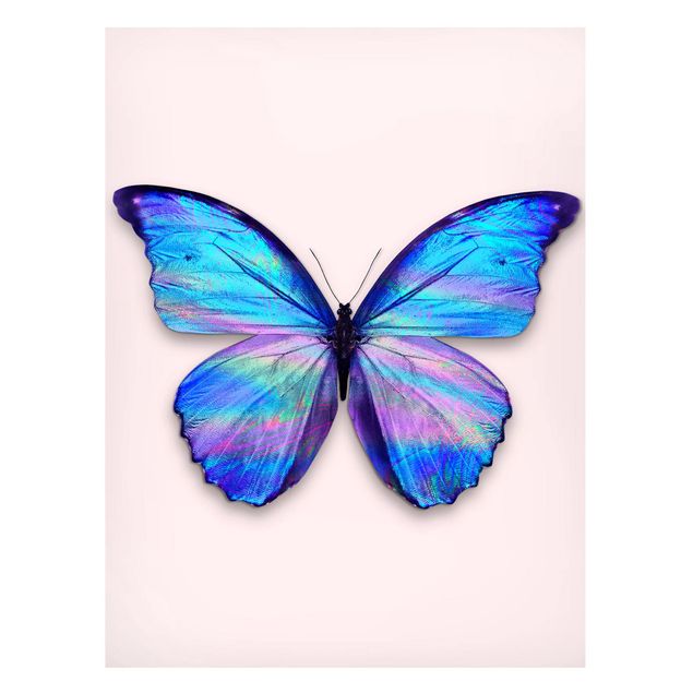 Magnettafel - Jonas Loose - Holografischer Schmetterling - Memoboard Hochformat 4:3