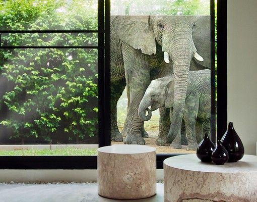 Fensterbilder Tiere Elefantenliebe