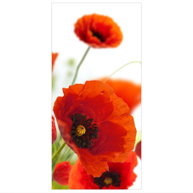 Raumteiler - Radiant Poppies 250x120cm