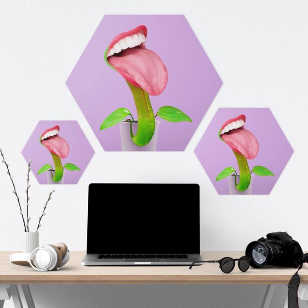Hexagon Bild Forex - Jonas Loose - Fleischfressende Pflanze mit Mund