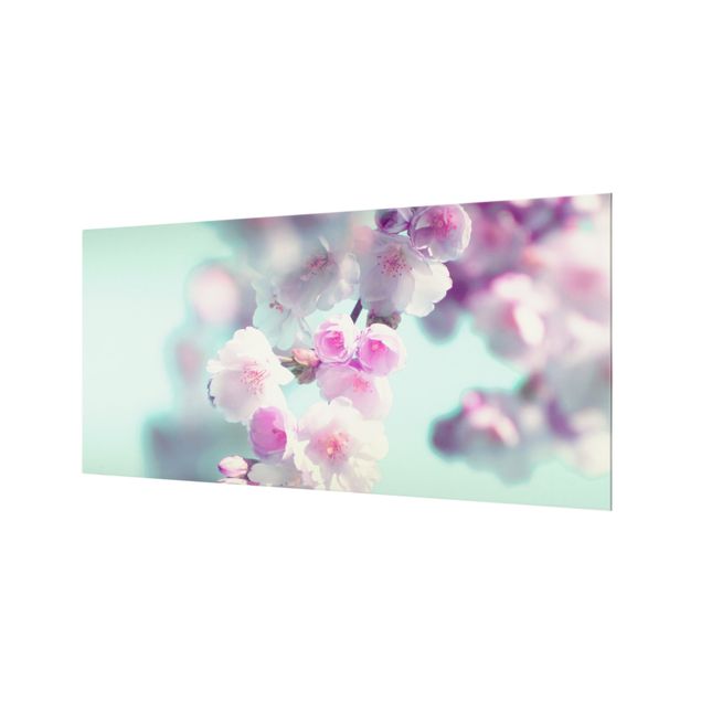 Spritzschutz Glas - Farbenfrohe Kirschblüten - Querformat 2:1