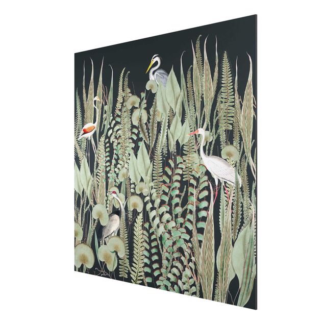 Alu-Dibond - Flamingo und Storch mit Pflanzen auf Grün - Quadrat