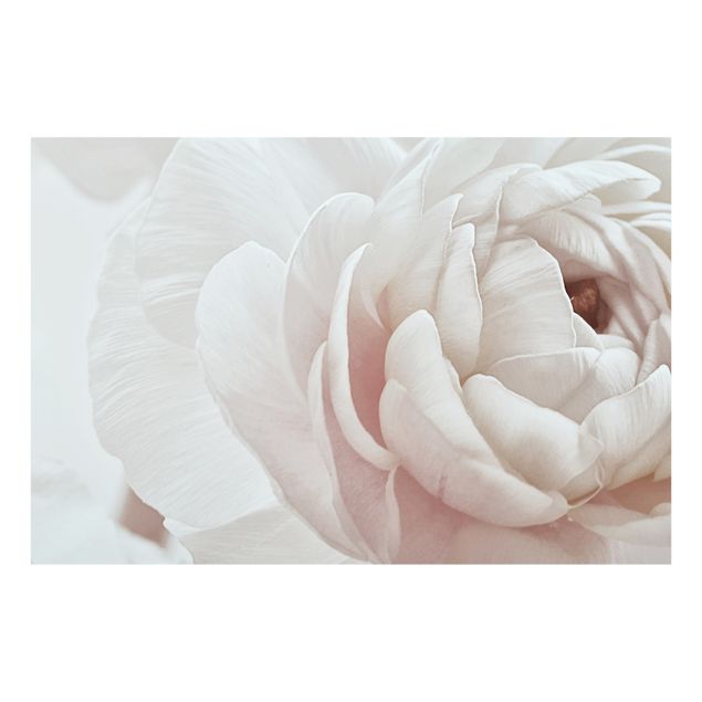 Monika Strigel Bilder Weiße Blüte im Blütenmeer