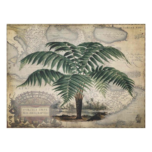 Spritzschutz Vintage Collage - Palme und Weltkarte