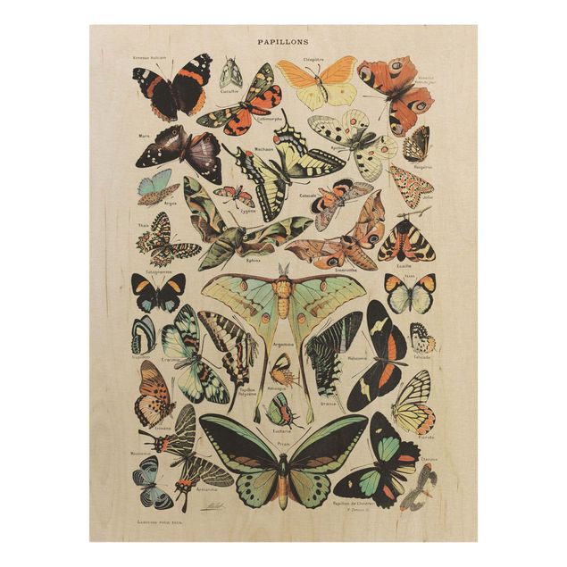 Holzbilder Vintage Lehrtafel Schmetterlinge und Falter