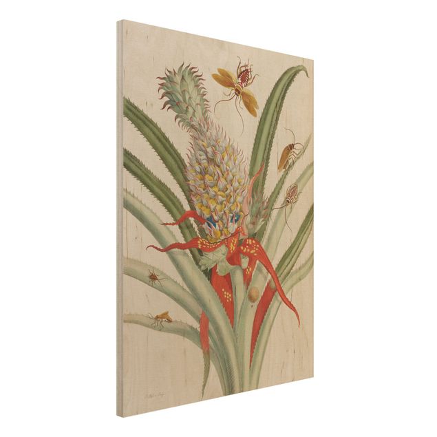 Holzbilder Blumen Anna Maria Sibylla Merian - Ananas mit Insekten