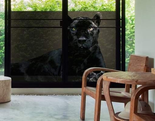 Fensterbilder Tiere Black Puma