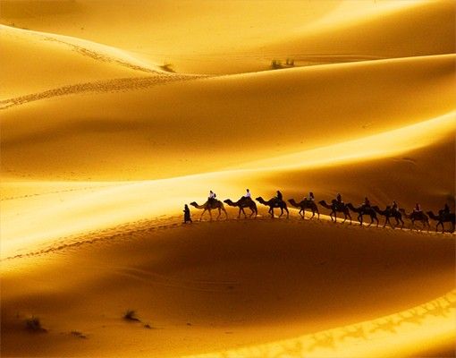 Fliesenbilder kaufen Golden Dunes