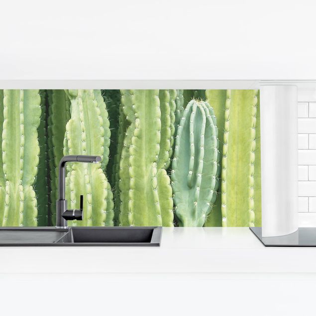 Küchenrückwand - Kaktus Wand