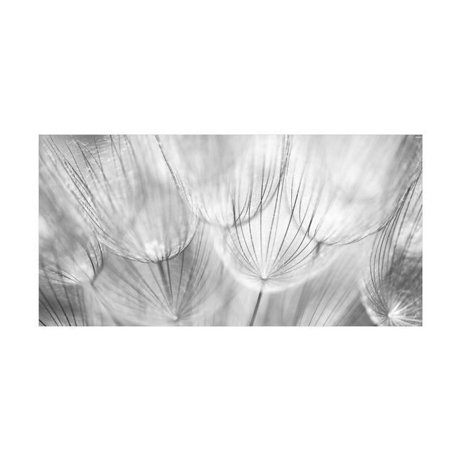 Teppich Blumenmuster Pusteblumen Makroaufnahme in schwarz weiß