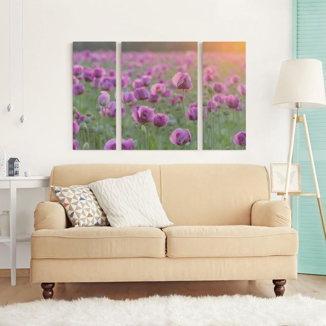 schöne Bilder Violette Schlafmohn Blumenwiese im Frühling
