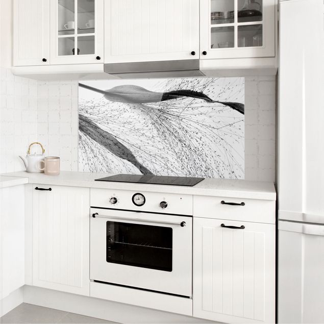 Spritzschutz Küche Zartes Schilf mit feinen Knospen Schwarz Weiß