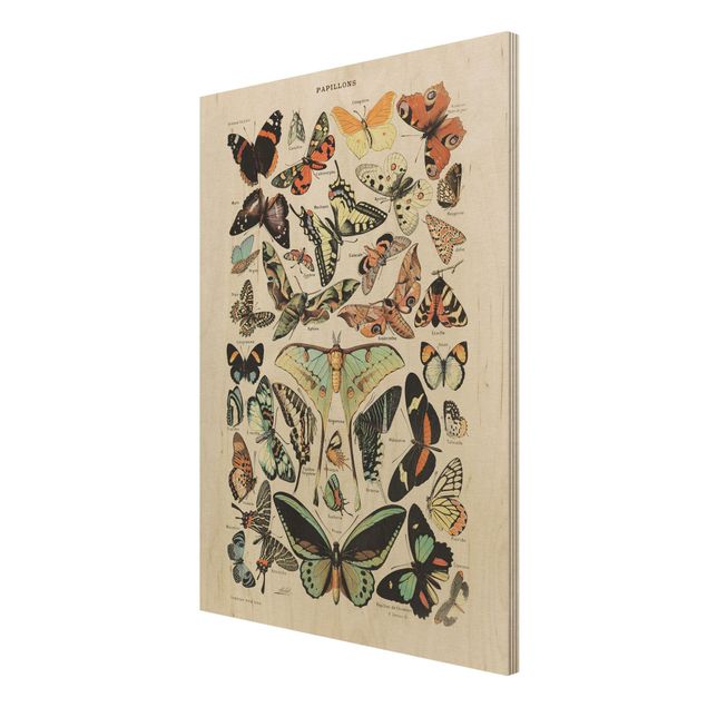 Holzbild - Vintage Lehrtafel Schmetterlinge und Falter - Hochformat 4:3