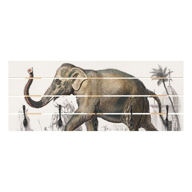 Wandgarderobe mit Motiv Vintage Lehrtafel Elefant