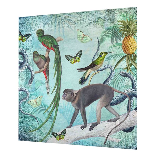 Glas Spritzschutz - Colonial Style Collage - Äffchen und Paradiesvögel - Quadrat - 1:1