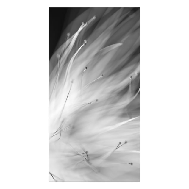 Duschrückwand - Blütenstaub Schwarz-Weiß