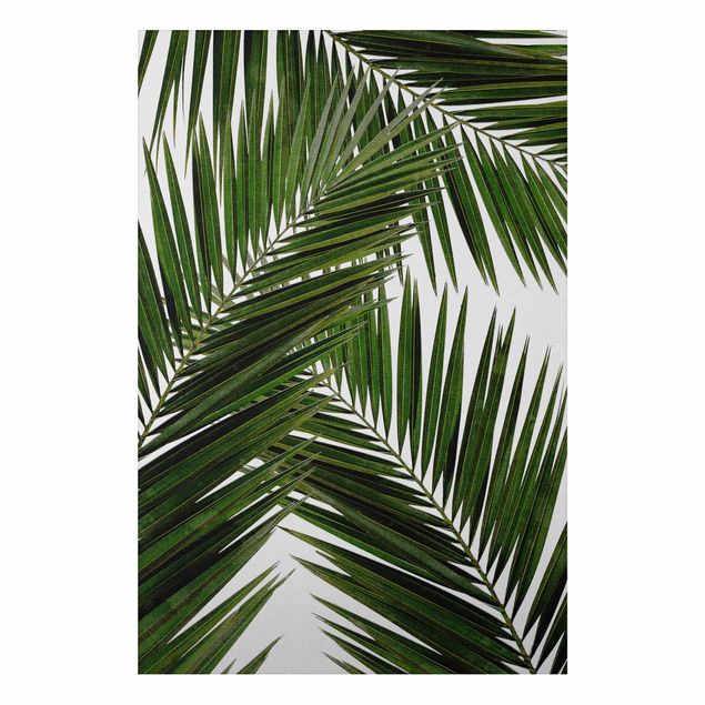 Alu-Dibond - Blick durch grüne Palmenblätter - Querformat