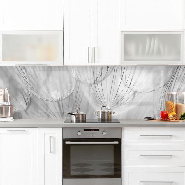 Küchenrückwand - Pusteblumen Makroaufnahme in schwarz weiß