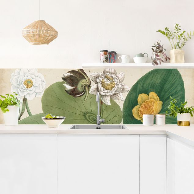 Küche Wandpaneel Vintage Illustration Weiße Wasserlilie